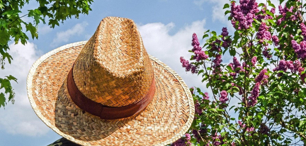 Ein geflochtener Strohhut mit braunem Band von hinten fotografiert. Im Hintergrund blauer Himmel mit weißen Wolken, grüne Blätter eines Baumes und blühender Flieder mit lilafarbenen Blüten.
