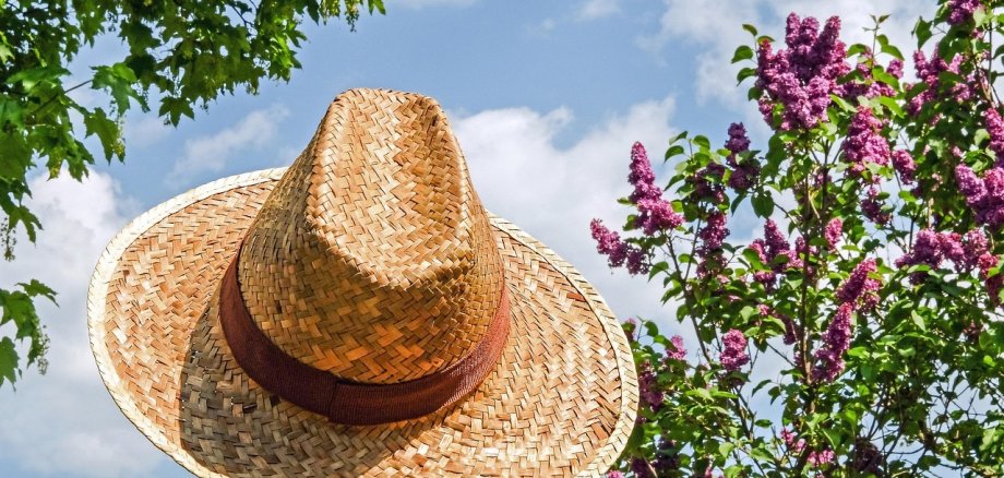 Ein geflochtener Strohhut mit braunem Band von hinten fotografiert. Im Hintergrund blauer Himmel mit weißen Wolken, grüne Blätter eines Baumes und blühender Flieder mit lilafarbenen Blüten.
