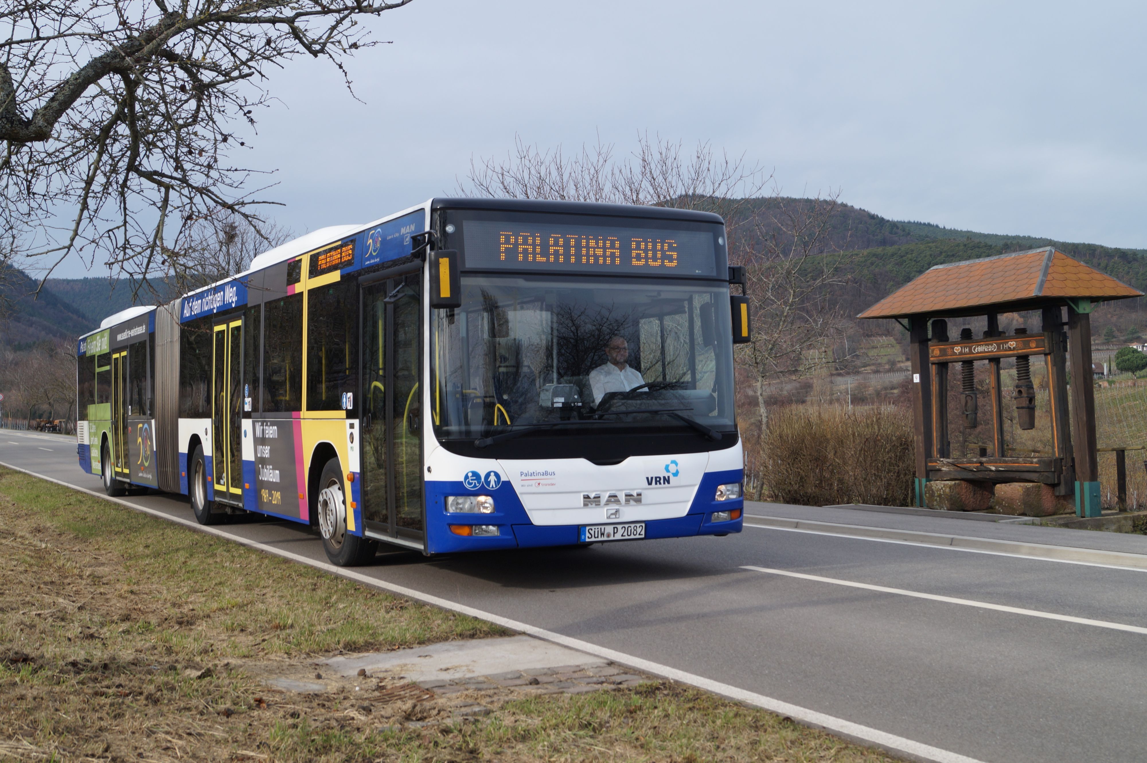 Ein Gelenkbus fährt auf einer Landstraße, im Hintergrund Weinberge. 