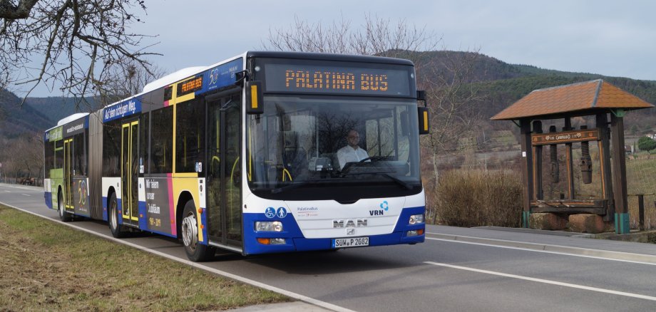 Ein Gelenkbus fährt auf einer Landstraße, im Hintergrund Weinberge. 