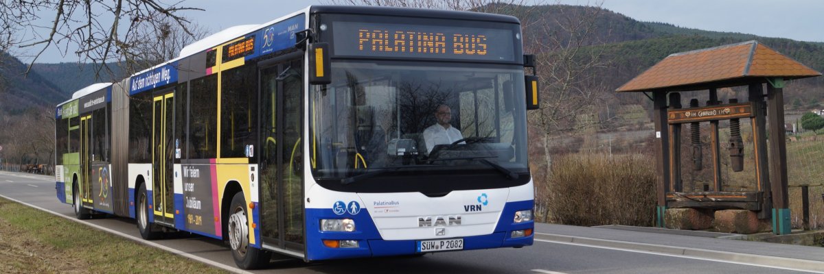 Ein Gelenkbus fährt auf einer Landstraße, im Hintergrund Weinberge. 