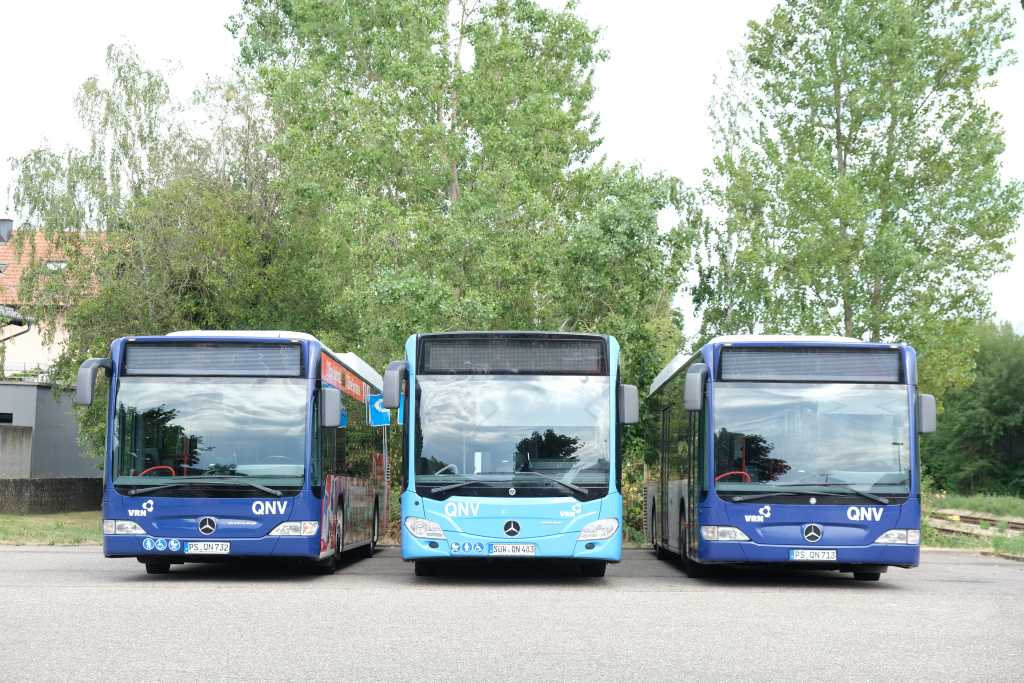 Drei Busse stehen nebeneinander.