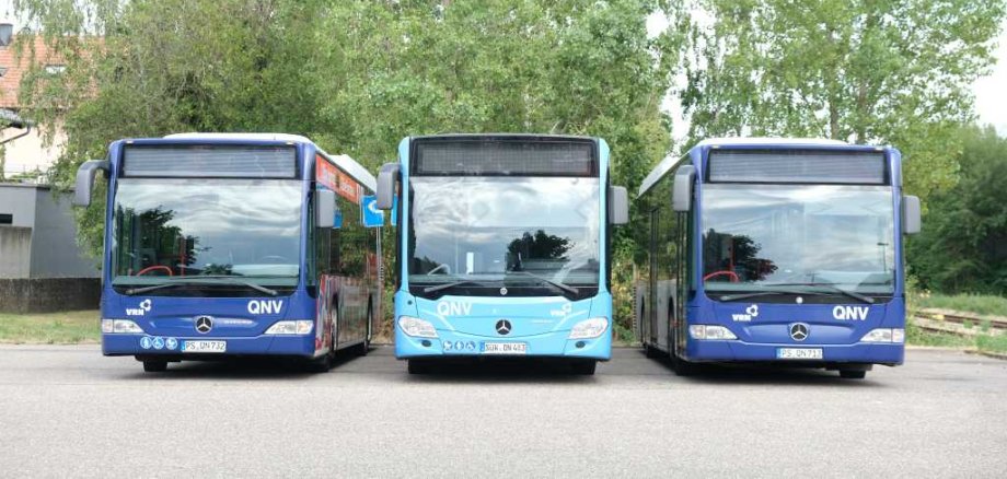 Drei Busse stehen nebeneinander.