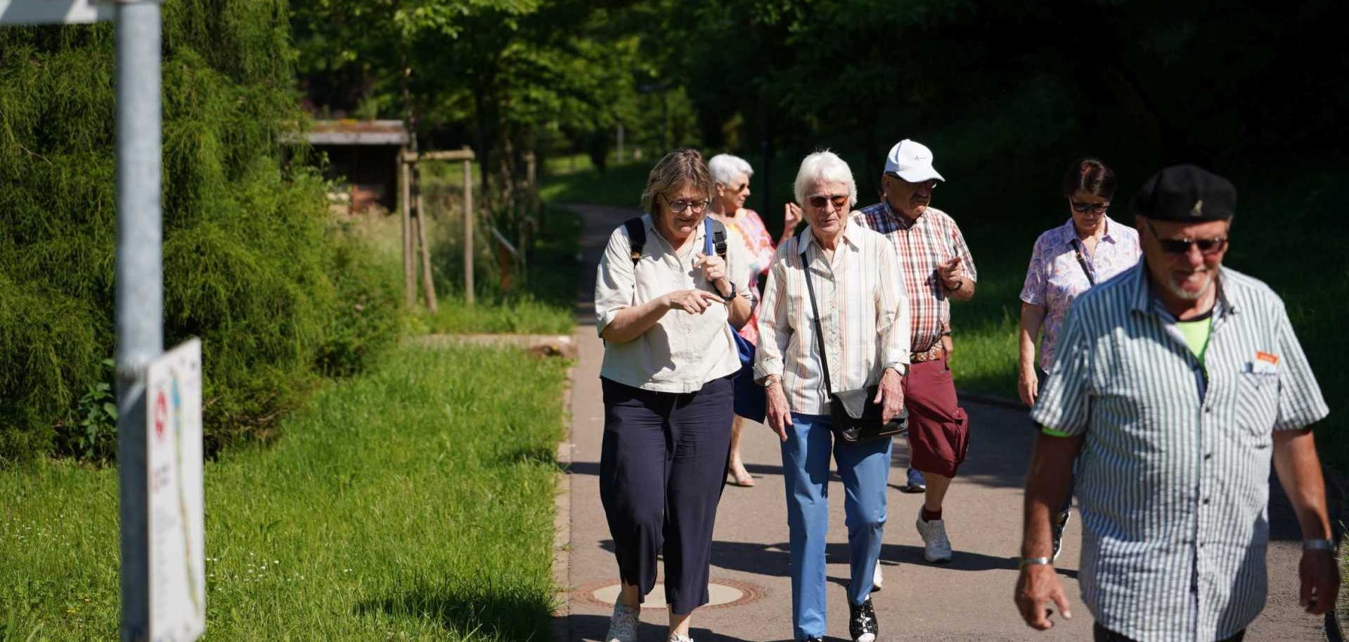 Eine Gruppe älterer Menschen unternimmt bei sonnigem Wetter einen gemeinsamen Spaziergang auf einem befestigten Weg durch eine grüne Parklandschaft. Die Teilnehmenden gehen in kleinen Gruppen nebeneinander und unterhalten sich.