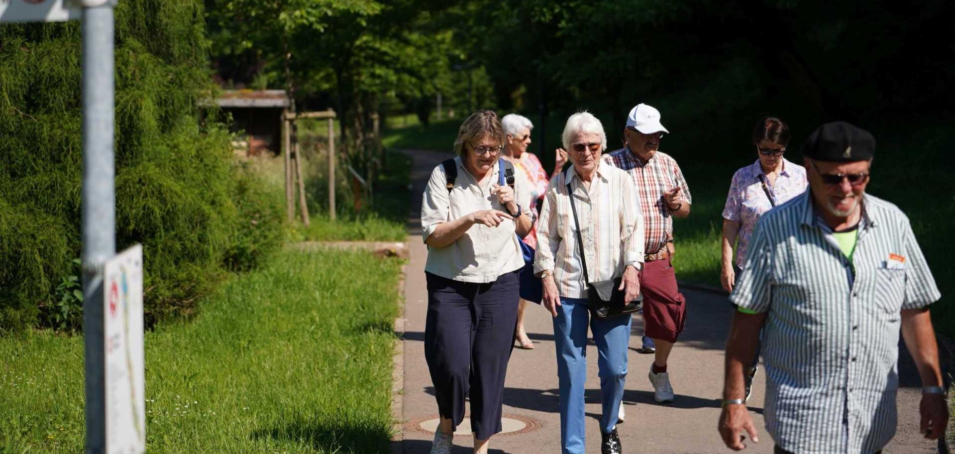 Eine Gruppe älterer Menschen unternimmt bei sonnigem Wetter einen gemeinsamen Spaziergang auf einem befestigten Weg durch eine grüne Parklandschaft. Die Teilnehmenden gehen in kleinen Gruppen nebeneinander und unterhalten sich.