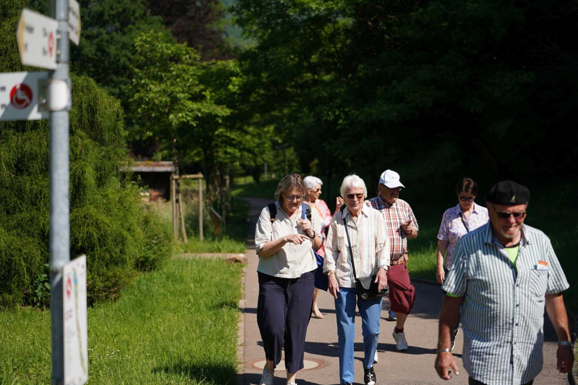 Eine Gruppe älterer Menschen unternimmt bei sonnigem Wetter einen gemeinsamen Spaziergang auf einem befestigten Weg durch eine grüne Parklandschaft. Die Teilnehmenden gehen in kleinen Gruppen nebeneinander und unterhalten sich.