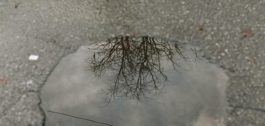 Nahaufnahme eines Schlaglochs in der Straße. In der Pfütze im Schlagloch spiegelt sich ein Baum ohne Blätter.
