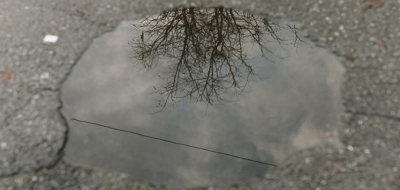 Nahaufnahme eines Schlaglochs in der Straße. In der Pfütze im Schlagloch spiegelt sich ein Baum ohne Blätter.