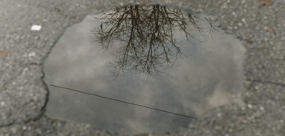 Nahaufnahme eines Schlaglochs in der Straße. In der Pfütze im Schlagloch spiegelt sich ein Baum ohne Blätter.