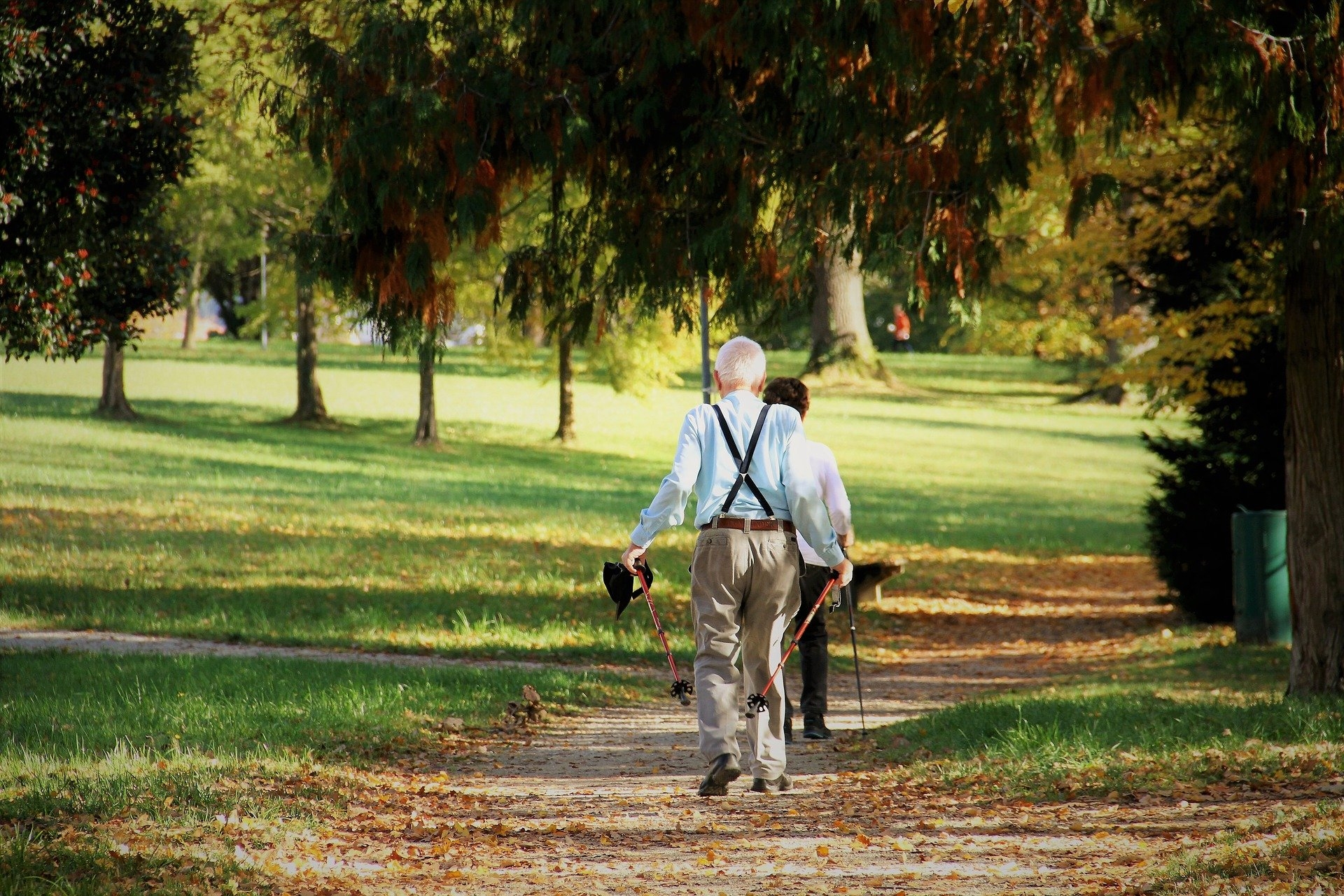 Zwei Senioren laufen mit Wanderstöcken durch einen Park.