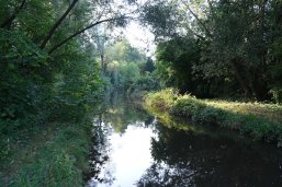 Ein Fluss mit grünem Ufer.