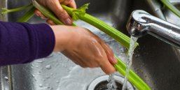 Eine Person wäscht frische Selleriestangen unter fließendem Wasser in einem Spülbecken ab.