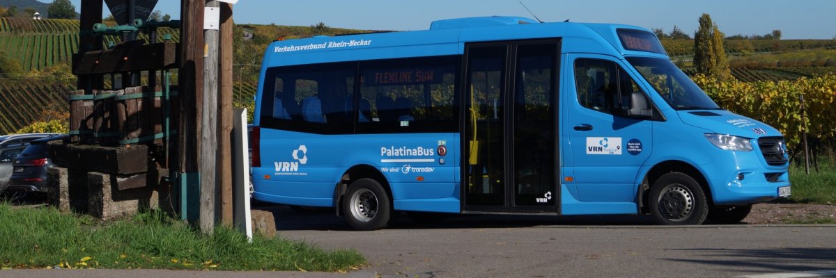 Ein blauer Kleinbus steht an einer Straßenkreuzung im ländlichen Raum. Im Hintergrund sind unter blauem Himmel Weinberge zu sehen. Auf einer digitalen Anzeigetafel im Bus ist "Flexline SÜW" zu lesen. Der Bus selbst trägt die Aufschriften "Verkehrsverbund Rhein-Neckar" und "PalatinaBus".