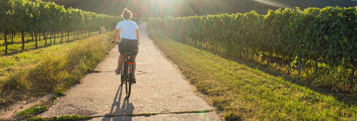 Fahrradfahrerin fährt durch Weinberge.