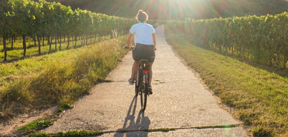 Fahrradfahrerin fährt durch Weinberge.