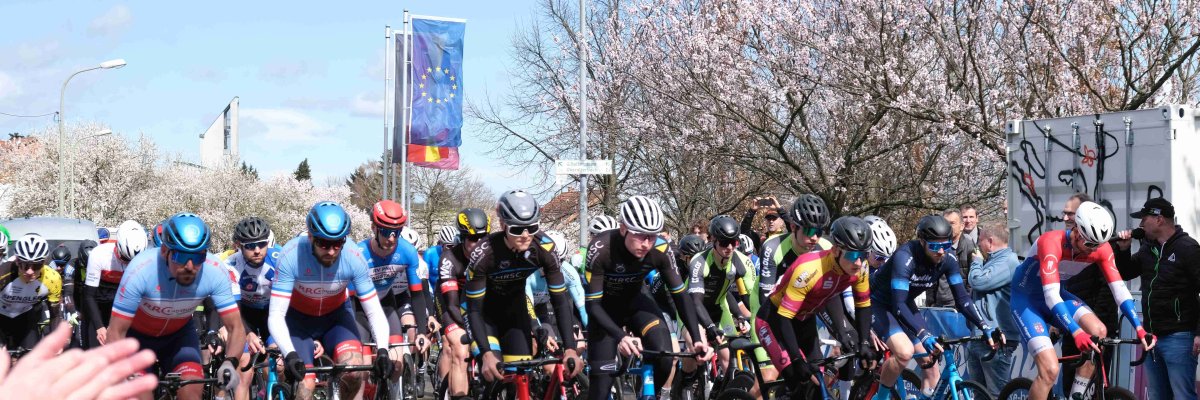 Beim Großen Preis der Südlichen Weinstraße 2023. Foto: KV SÜW Radfahrer starten vor blühenden Mandelbäumen.